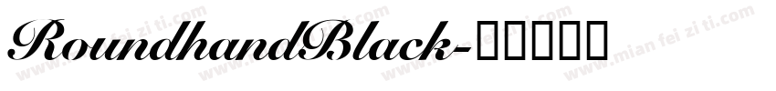 RoundhandBlack字体转换
