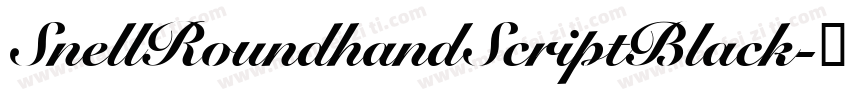 SnellRoundhandScriptBlack字体转换