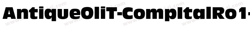 AntiqueOliT-CompItalRo1字体转换