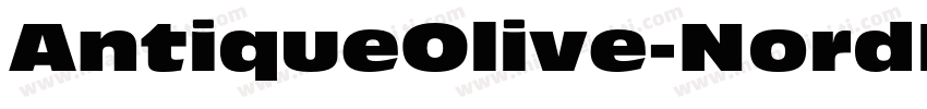 AntiqueOlive-NordItalic字体转换