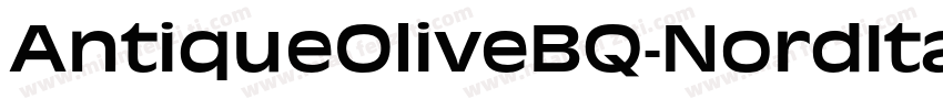 AntiqueOliveBQ-NordItalic字体转换