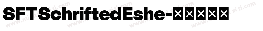 SFTSchriftedEshe字体转换