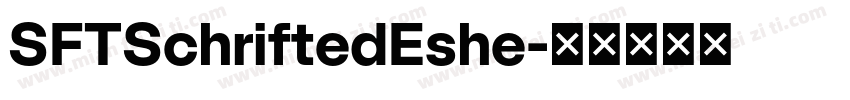 SFTSchriftedEshe字体转换