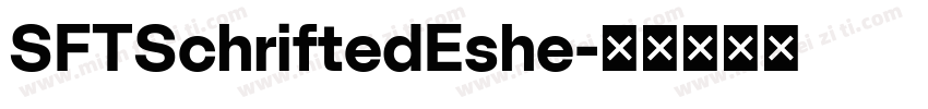 SFTSchriftedEshe字体转换