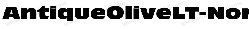 AntiqueOliveLT-Nord字体转换