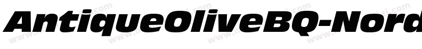 AntiqueOliveBQ-NordItalic字体转换