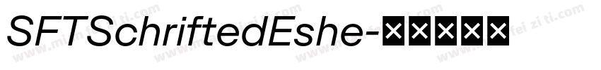 SFTSchriftedEshe字体转换