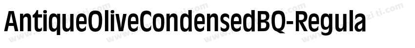 AntiqueOliveCondensedBQ-Regular字体转换