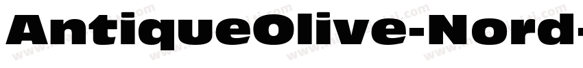 AntiqueOlive-Nord字体转换