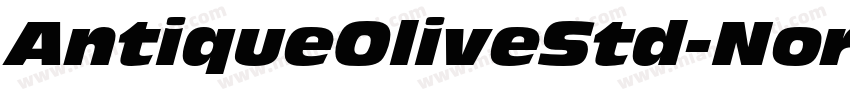 AntiqueOliveStd-NordItalic字体转换