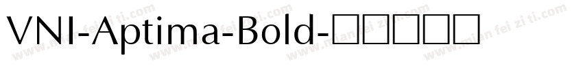 VNI-Aptima-Bold字体转换