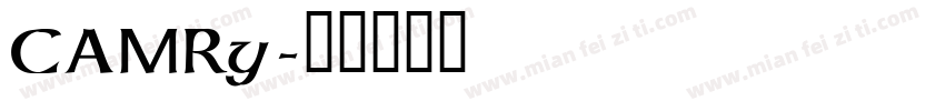 CAMRy字体转换