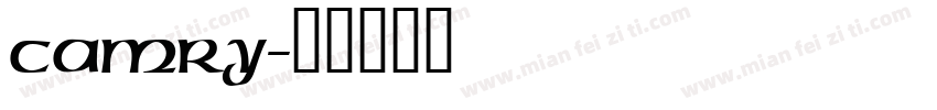 CAMRy字体转换