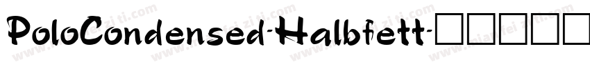 PoloCondensed-Halbfett字体转换
