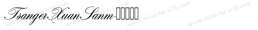 TsangerXuanSanm字体转换