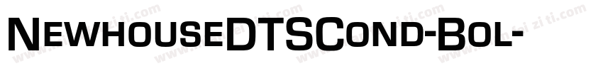 NewhouseDTSCond-Bol字体转换