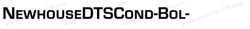 NewhouseDTSCond-Bol字体转换
