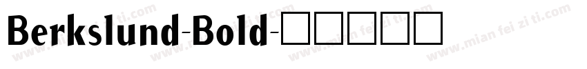 Berkslund-Bold字体转换