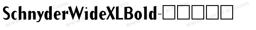 SchnyderWideXLBold字体转换