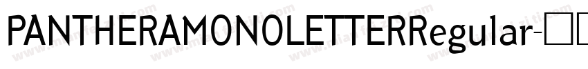 PANTHERAMONOLETTERRegular字体转换