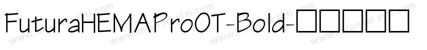 FuturaHEMAProOT-Bold字体转换