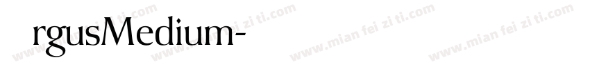 ArgusMedium字体转换