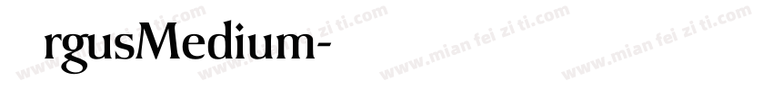 ArgusMedium字体转换
