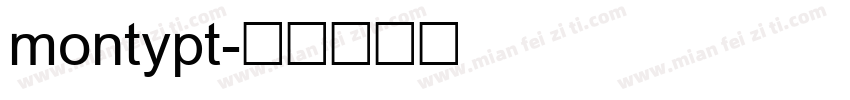 montypt字体转换