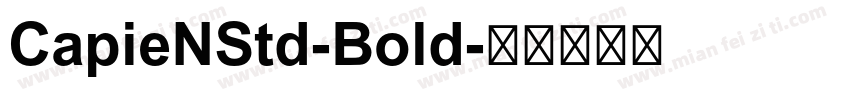 CapieNStd-Bold字体转换