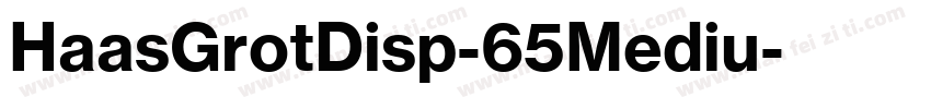 HaasGrotDisp-65Mediu字体转换