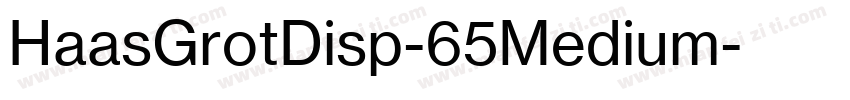 HaasGrotDisp-65Medium字体转换