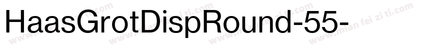 HaasGrotDispRound-55字体转换
