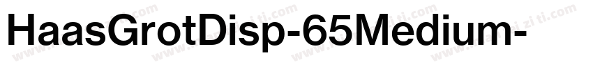 HaasGrotDisp-65Medium字体转换