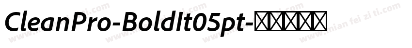 CleanPro-BoldIt05pt字体转换