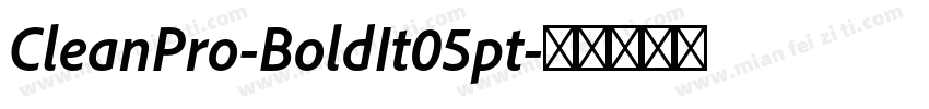 CleanPro-BoldIt05pt字体转换