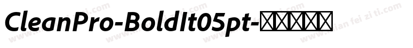 CleanPro-BoldIt05pt字体转换