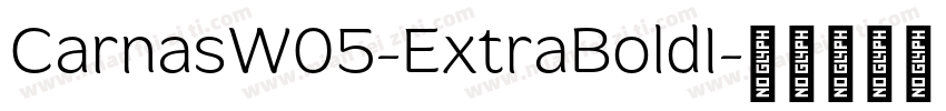 CarnasW05-ExtraBoldI字体转换