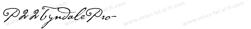 P22TyndalePro字体转换