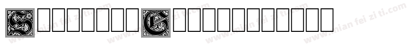 SubtitleGothic字体转换