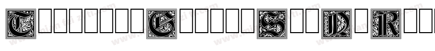 TazuganeGothicStdN-R字体转换