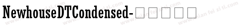 NewhouseDTCondensed字体转换