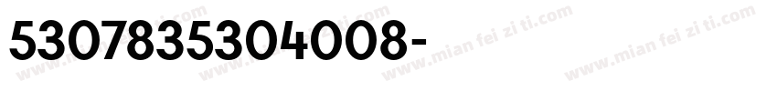 5307835304008字体转换