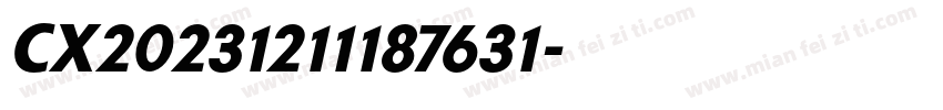 CX20231211187631字体转换