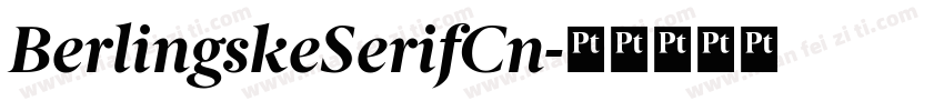 BerlingskeSerifCn字体转换