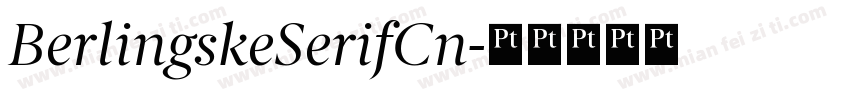 BerlingskeSerifCn字体转换