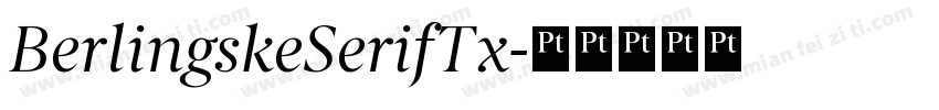 BerlingskeSerifTx字体转换