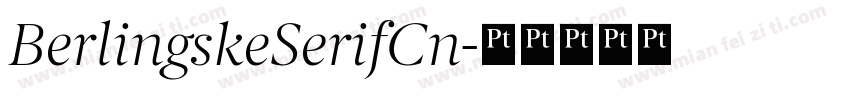 BerlingskeSerifCn字体转换
