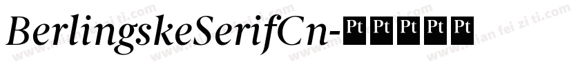 BerlingskeSerifCn字体转换