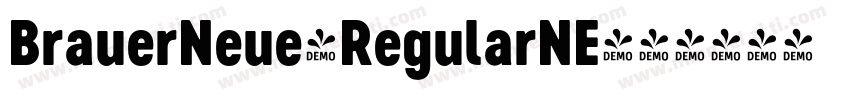 BrauerNeue-RegularNE字体转换