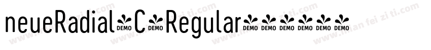 neueRadial-C-Regular字体转换